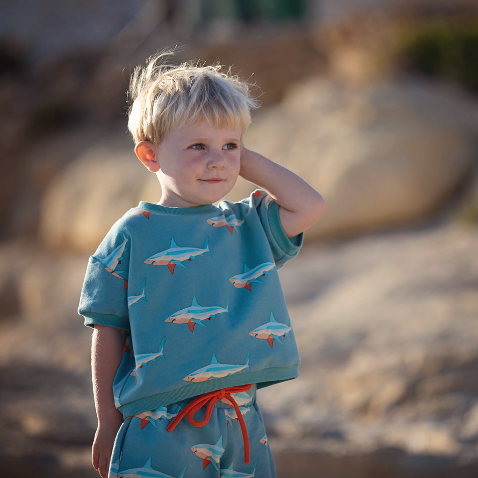 Boordstof Dusty Turquoise